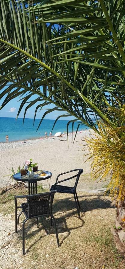 Leon Beach Hotel New Athos Ngoại thất bức ảnh